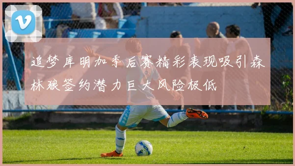 追梦库明加季后赛精彩表现吸引森林狼签约潜力巨大风险极低
